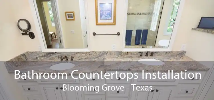 Bathroom Countertops Installation Blooming Grove - Texas