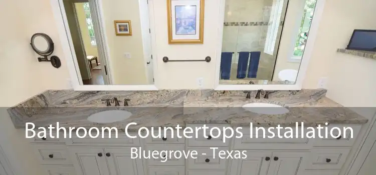 Bathroom Countertops Installation Bluegrove - Texas