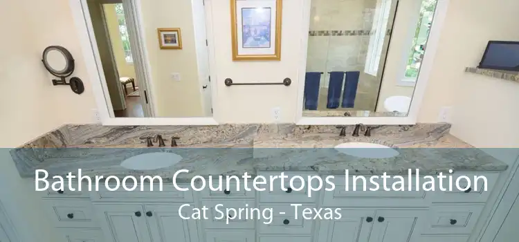 Bathroom Countertops Installation Cat Spring - Texas