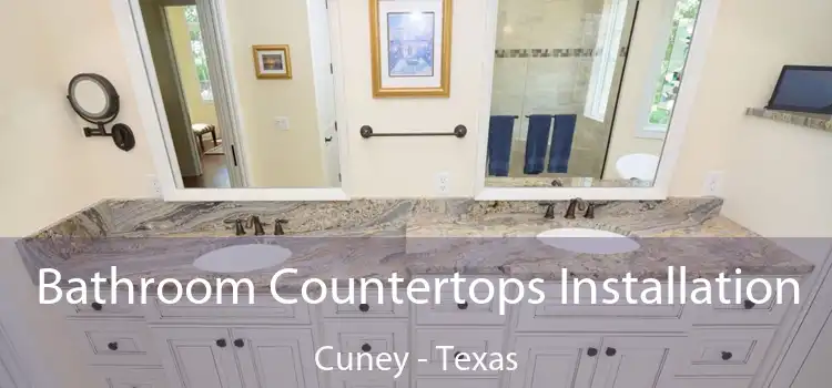 Bathroom Countertops Installation Cuney - Texas