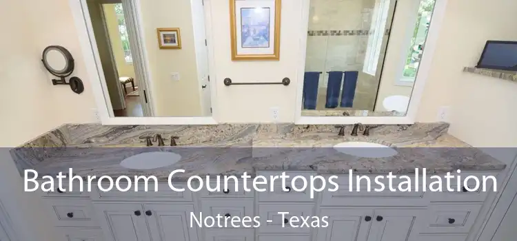 Bathroom Countertops Installation Notrees - Texas
