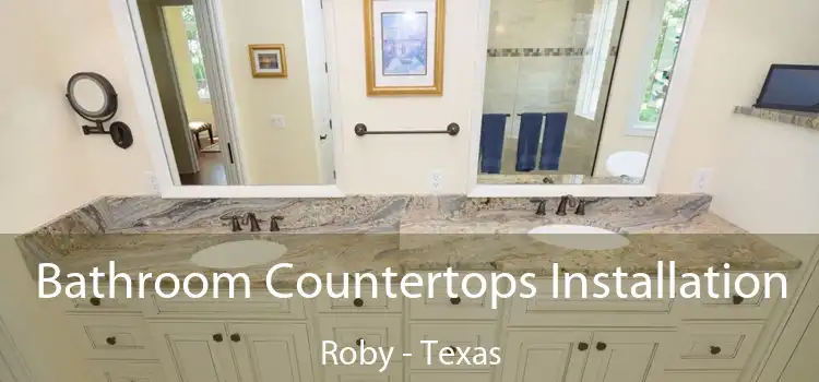 Bathroom Countertops Installation Roby - Texas