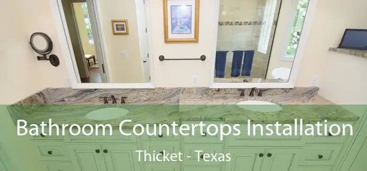 Bathroom Countertops Installation Thicket - Texas