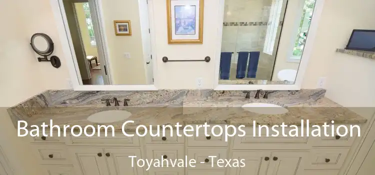 Bathroom Countertops Installation Toyahvale - Texas
