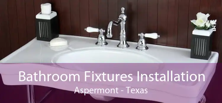 Bathroom Fixtures Installation Aspermont - Texas