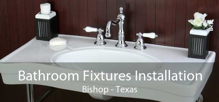 Bathroom Fixtures Installation Bishop - Texas