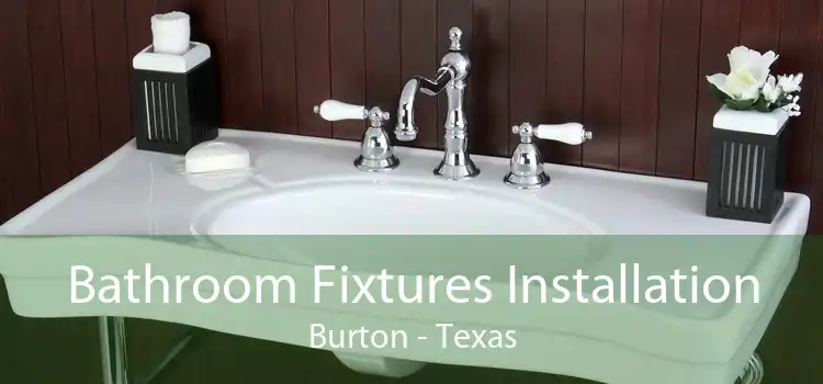 Bathroom Fixtures Installation Burton - Texas