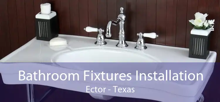 Bathroom Fixtures Installation Ector - Texas