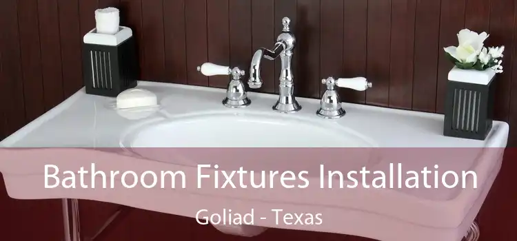 Bathroom Fixtures Installation Goliad - Texas