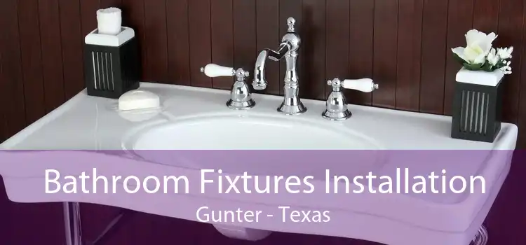 Bathroom Fixtures Installation Gunter - Texas