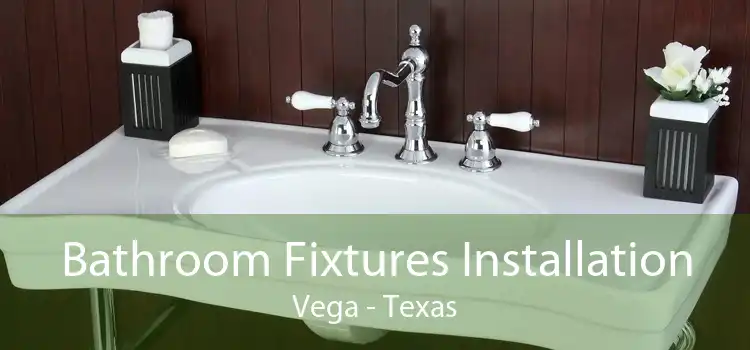 Bathroom Fixtures Installation Vega - Texas
