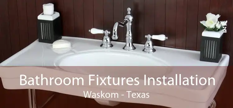 Bathroom Fixtures Installation Waskom - Texas