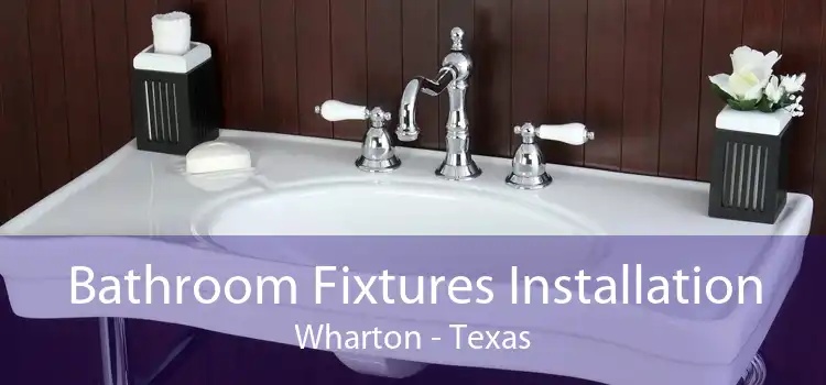 Bathroom Fixtures Installation Wharton - Texas