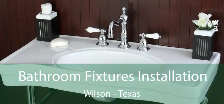 Bathroom Fixtures Installation Wilson - Texas