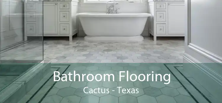 Bathroom Flooring Cactus - Texas
