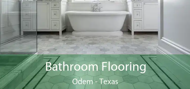 Bathroom Flooring Odem - Texas