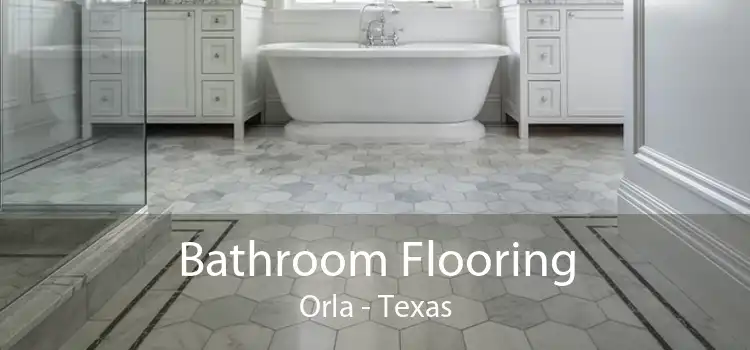 Bathroom Flooring Orla - Texas
