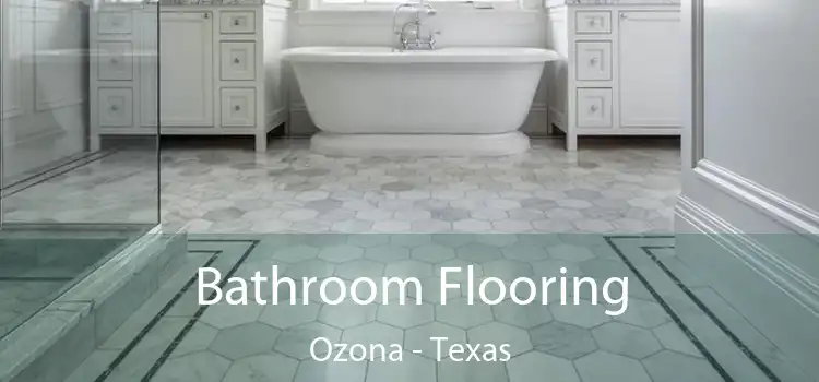 Bathroom Flooring Ozona - Texas
