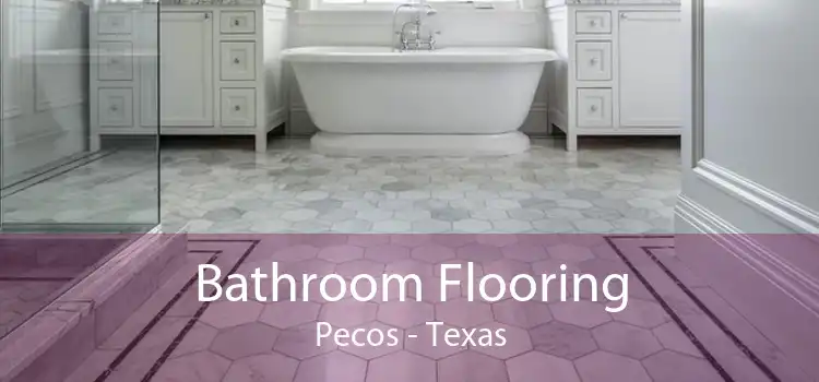 Bathroom Flooring Pecos - Texas
