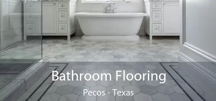 Bathroom Flooring Pecos - Texas