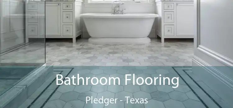 Bathroom Flooring Pledger - Texas