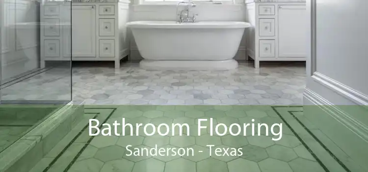 Bathroom Flooring Sanderson - Texas