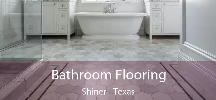 Bathroom Flooring Shiner - Texas