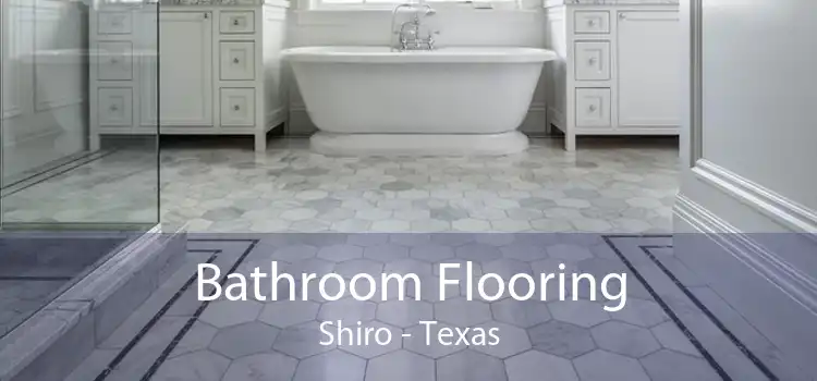 Bathroom Flooring Shiro - Texas