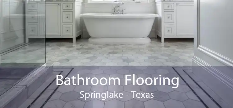 Bathroom Flooring Springlake - Texas