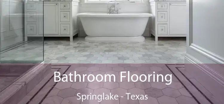 Bathroom Flooring Springlake - Texas