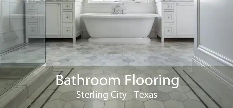 Bathroom Flooring Sterling City - Texas