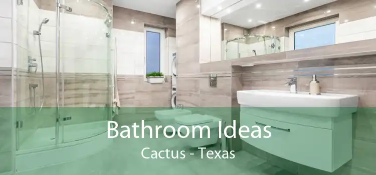 Bathroom Ideas Cactus - Texas