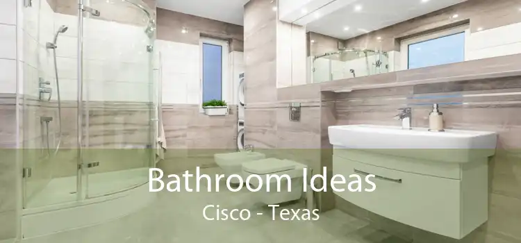 Bathroom Ideas Cisco - Texas