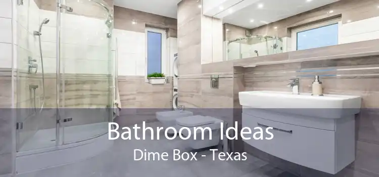 Bathroom Ideas Dime Box - Texas