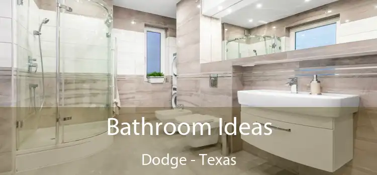 Bathroom Ideas Dodge - Texas
