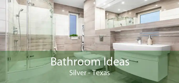 Bathroom Ideas Silver - Texas