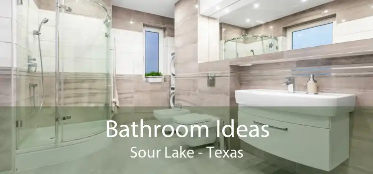Bathroom Ideas Sour Lake - Texas
