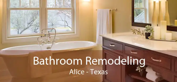 Bathroom Remodeling Alice - Texas