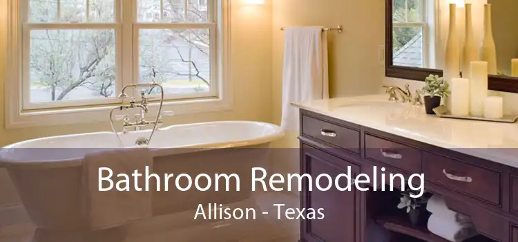 Bathroom Remodeling Allison - Texas