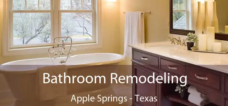 Bathroom Remodeling Apple Springs - Texas