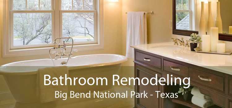 Bathroom Remodeling Big Bend National Park - Texas