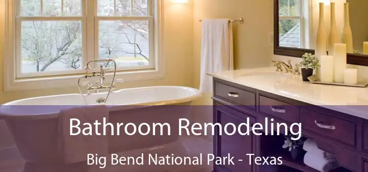 Bathroom Remodeling Big Bend National Park - Texas