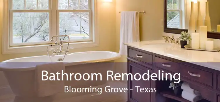 Bathroom Remodeling Blooming Grove - Texas