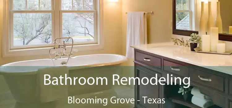 Bathroom Remodeling Blooming Grove - Texas