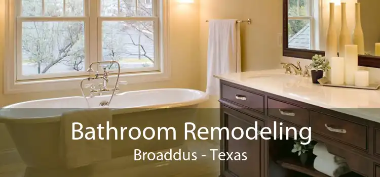 Bathroom Remodeling Broaddus - Texas