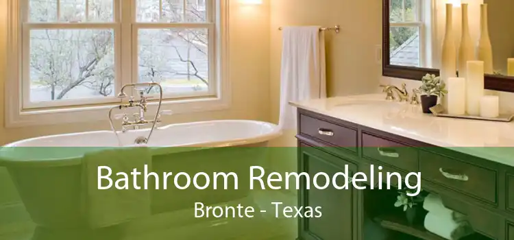 Bathroom Remodeling Bronte - Texas