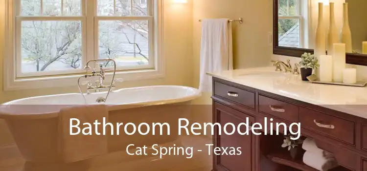 Bathroom Remodeling Cat Spring - Texas