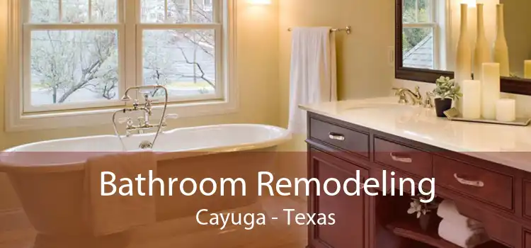 Bathroom Remodeling Cayuga - Texas