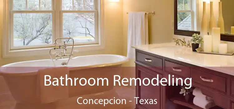 Bathroom Remodeling Concepcion - Texas