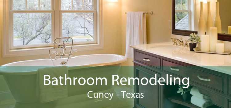 Bathroom Remodeling Cuney - Texas
